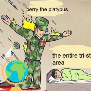 Meet your Posher, Cole